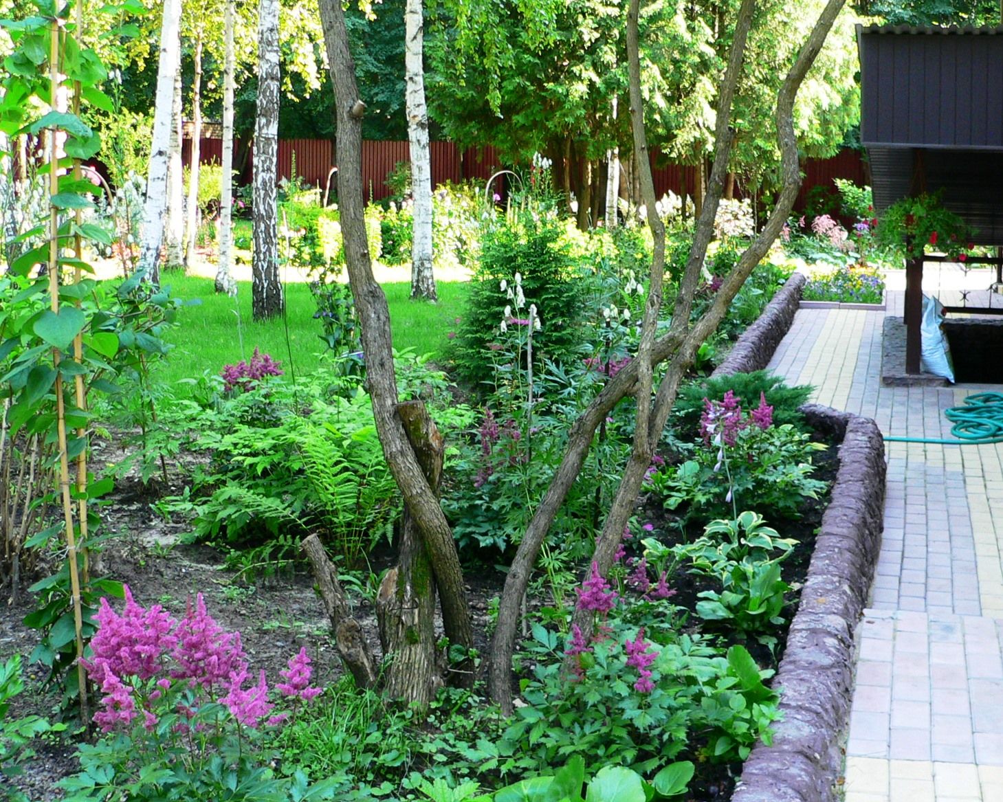 Проект Дачная Поляна